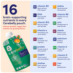 Cerebelly Organic Baby Food Pouches, White Bean Pumpkin Apple Purees, 16 Nutrients, No Added Sugar, Fiber & Non-GMO, 4oz, 12 Pack
