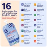 Cerebelly Organic Baby Food Pouches, Purple Carrot Blueberry Smoothie Purees, 16 Nutrients, No Added Sugar, Non-GMO, Toddler Snacks, 4oz, 6 Pack