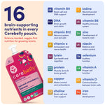 Cerebelly Organic Baby Food Pouches, Spinach Strawberry Dairy-Free Smoothies, 16 Nutrients, No Added Sugar, Fiber & Non-GMO, 4oz, 12 Pack