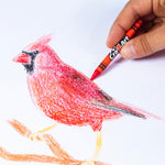 Cra-Z-Art 16ct Washable Jumbo Crayons, Easy Clean Up, Back To School Supply, Creative Fun for Children, Ages 3 and Up