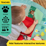 Ingenuity Baby Einstein Farm Explorers Happy Harvest Touch & Feel Baby Play Gym & Mat with 5 Removable Toys, 20+ Songs & Sounds, Ages 0+ Months