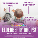MARYRUTH'S Cocomelon Toddler Elderberry Syrup, USDA Organic Elderberry, Sugar Free Kids Immune Support Supplement for Ages 1-3 Years, Clean Label Project Verified®, Vegan, Gluten Free, 1 Fl Oz