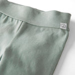 little planet by carter's unisex-baby 2-pack Pants made with Organic Cotton, Green/Charcoal, 12 Months