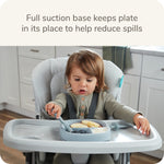 NUK for Nature Suction Plate and Lid, Leak-Proof Lid, Microwave, Freezer, & Top Rack Dishwasher Safe, BPA & Latex-Free, Pack of 1