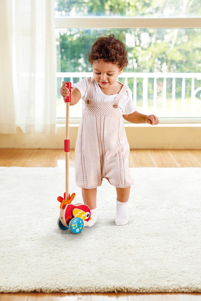 Hape Lilly Musical Push Along | Wooden Push Along Baby Walking Bird, Playful Kids Toy with Detachable Stick, Multicolor, 22.05 Inch