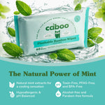 Caboo Mint Flushable Wipes, Certified Flushable, Septic Safe, Chemical Free, Biodegradable Wipes for Adults made with Renewable Bamboo Based Viscose (Pack of 3, Total of 180)