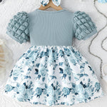 Rosibel Baby Girl Dress Newborn Summer Clothes Casual Puff Sleeve Infant Dresses Cute Outfit for Kids 6M-3T
