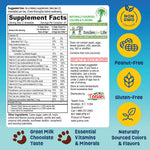 YUM-V'S - Kids Multivitamin Chewable Chocolate Bears - Multivitamin for Kids Supplement - 16 Vitamins & Minerals - Vitamins Including D, Zinc, C, B Complex & More, 60 Count Pack of 1