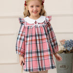 Little Girls Clothes 3t 4t Girl Fall Clothes Cute Bright Pink Plaid Winter Kids Dress Toddler Long Sleeve Swing Checkered Dresses Toddler Outfit