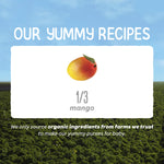 Happy Baby Organics Clearly Crafted Stage 1 Baby Food, Mangoes, 3.5 Ouncee Pouch (Pack of 16)