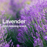 The Honest Company Calm Lavender Bathtime Gift Set + Disney Design | Hypoallergenic Bath for Sensitive Skin | Shampoo + Body Wash, Face + Body Lotion, Bubble Bath, Conditioner, Sponge