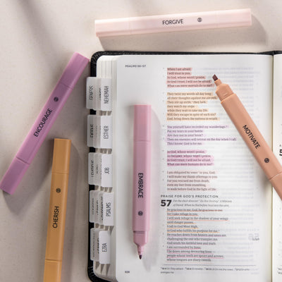 DIVERSEBEE Bible Highlighters Assorted Colors, 5 Pack No Bleed Dual Tip Aesthetic Pastel Highlighter Pens for Journaling, Note Taking, School, Bible Study Supplies and Accessories (Rose)
