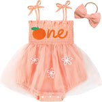 HONGTEYA Baby Girl 1st Birthday Outfit Girl First Birthday Clothes One Year Old Gifts Lace Romper Tulle Summer Newborn Dress