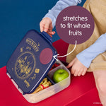b.box Harry Potter Lunch Box for Big Eaters All Ages - 8.5 Cup Leak Proof Bento Box with 4 Compartments, School Lunch Container with Ice Pack, Dishwasher Safe, BPA-Free, PFAS-Free