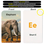 Award-Winning Flash Cards for Preschool & Kindergarten – 5-Deck Set, 180 Jumbo Cards – Learn Alphabet, Numbers, Colors, Shapes, First Words, Opposites & Rhyming – for Kids Ages 2–5