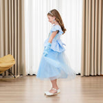DLLYING Cinderella Dresses For Girls Little Kids Toddler Princess Fancy Dress Up Clothes + Accessories Halloween Christmas Carnival Birthday Party Role Play Cosplay Costume Blue 7-8 Years