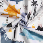 Donsonny Baby Blanket for Boys Girls Soft Minky with Double Layer Dotted Backing, Color Dinosaurs Printed 30 x 40 Inch Receiving Blanket