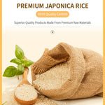 Hot-Kid Baby Mum-Mum Rice Rusks, Vegetable, 24 Pieces (Pack of 6) Gluten Free, Allergen Free, Non-GMO, Rice Teether Cookie for Teething Infants
