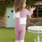 2T 3T Girl Clothes Long Sleeve Purple Shirts Knit Pants Soft Leggings Little Girl 2 Piece Cute Outfit Toddler Fall Winter Clothes