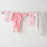 Gerber baby girls 5-pack Variety Onesies Bodysuits girl bodysuits, Elephants/Flowers, 0-3 Months US