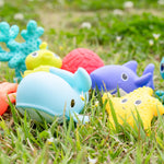 Infantino Aquarium Bath Squirters