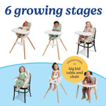 Graco Table2Table Lux Highchair, 6 Growing Stages from Infant High Chair to Big Kid Chair and Table, Rhodes