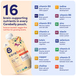 Cerebelly Organic Baby Food Pouches, Carrot Beef Bone Broth Purees, 16 Nutrients, Protein & Healthy Fats, 4oz, 12 Pack