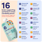 Cerebelly Organic Baby Food Pouches, Sweet Potato Mango Purees, 16 Nutrients, No Added Sugar, Fiber & Non-GMO, 4oz, 6 Pack