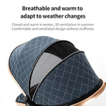 2-in-1 Baby Stroller High Landscape Pram Convertible Carriage with Reversible Bassinet for 0-36 Months,Pink