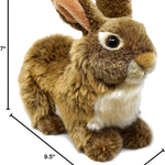 Brigid The Brown Rabbit - 10 Inch Stuffed Animal Plush Bunny