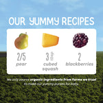 Happy Baby Organics Stage 2 Baby Food Pouches, Gluten Free, Vegan & Healthy Snack, Clearly Crafted Fruit & Veggie Puree, Pears, Squash & Blackberries, 4 Ounces (Pack of 16)