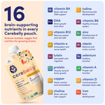 Cerebelly Organic Baby Food Pouches, Butternut Squash Chicken Bone Broth with Thyme, 16 Nutrients, Protein & Healthy Fats, 4oz, 12 Pack