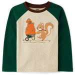 Gymboree,Boys,and Toddler Embroidered Graphic Long Sleeve Raglan T-Shirts,Harvest Squirrel,12