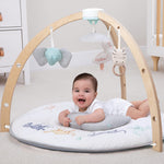 aden + anais Play and Discover Baby Activity Gym – 30+ Developmental Benefits - 3 Attachable Toys + Plush Tummy Time Pillow – 100% Cotton Muslin – Machine Washable