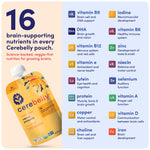 Cerebelly Organic Baby Food Pouches, Carrot Pumpkin Purees, 16 Nutrients, No Added Sugar, Fiber & Non-GMO, 4oz, 12 Pack