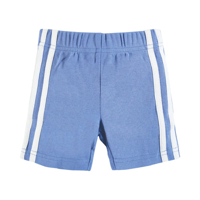Hudson Baby Unisex Baby and Toddler Shorts Bottoms 4-Pack, Blue, 3-6 Months