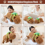 SQEQE Weighted Stuffed Animals Capybara Plush, Weighted Capybara Stuffed Animals with Turtle Backpack, Soft Pillow Toy for Kids Adults, Birthday Present 9.8 Inch, 0.8 Lb