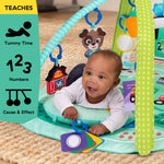 Baby Einstein Farm Explorers 4-in-1 Kickin’ Tunes Musical Meadow Music & Language Discovery Gym, Ages 0 Months and Up