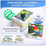 Flash Cards for Toddlers 1–3 with Rings,250 Double-Sided Cards,500 Words–1 Year Old Girl & Boy Gifts – Toddler Flash Cards–Learning & Educational Toys for 1+ Year Old, Montessori Toys for 2 Year Olds