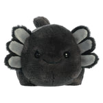 Aurora® Adorable Spudsters™ Stuffed Animal - Round Shape Makes for Comforting Cuddles - Perfect for Kids All Ages and Animal Loving Adults - Black 10 Inches