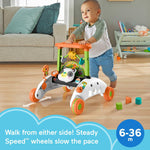 Fisher-Price Baby & Toddler Toy 2-Sided Steady Speed Panda Walker with Smart Stages Learning & Blocks for Ages 6+ Months