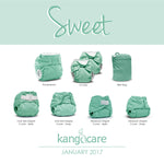 Kanga Care Lil Joey Newborn All in One AIO Cloth Diaper (2pk) Sweet 4-12lbs