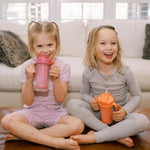 Dr. Brown's Milestones Insulated Sippy Cup with Straw and Handles, Spill-Proof Tumbler with Lid, 4-Pack, Pink/Orange/Green/Purple, 10 oz/300 mL, BPA Free, 12m+
