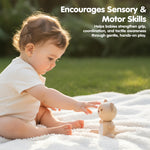 PlanToys® Little Bear Wooden Baby Rattle & Grasping Toy | Montessori Sensory Development for Coordination, Focus & Auditory Learning | Eco-Friendly Infant Educational Toy