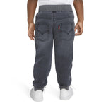 Levi's Baby Boys' Pants, Pebble Grey, 24M