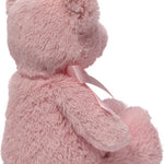Baby GUND My First Teddy Bear, Ultra Soft Animal Plush Toy for Babies and Newborns, Pink, 10”