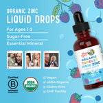 MaryRuth Organics USDA Toddler Liquid Drops | Zinc Sulfate | Immune Support Supplement| Skin Health | Vegan | Formulated for Ages 1-3 | Delicious Berry Flavor | 1 Month Supply | 2 Fl Oz