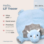 Bearington Baby Lil' Tracer Tummy Time Mat, 30 x 30 Inch Dinosaur Plush Stuffed Animal Blanket, Baby Play Mat