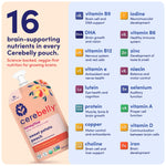 Cerebelly Organic Baby Food Pouches, Sweet Potato Peach Dairy-Free Smoothies, 16 Nutrients, No Added Sugar, Fiber & Non-GMO, 4oz, 1 Count