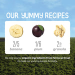 Happy Baby Organics Stage 2 Baby Food Pouches, Gluten Free, Vegan & Healthy Snack, Clearly Crafted Fruit & Veggie Puree, Apples, Bananas, Plums & Granola, 4 Ounces (Pack of 16)